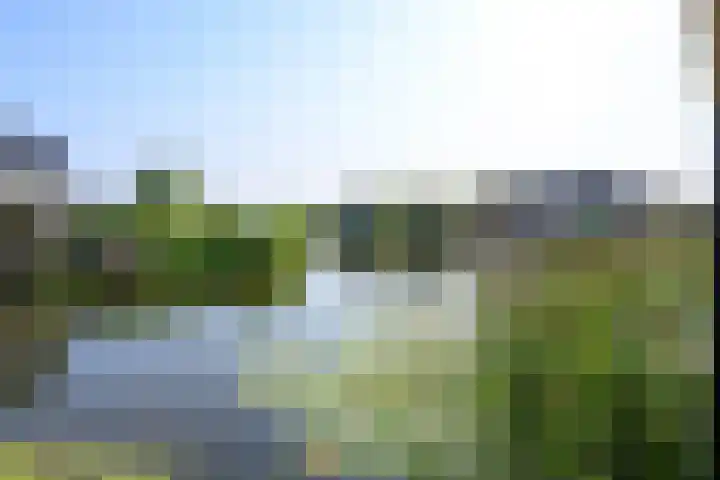 Droge Wijmersweg 5 229 Wervershoof thumbnail 37