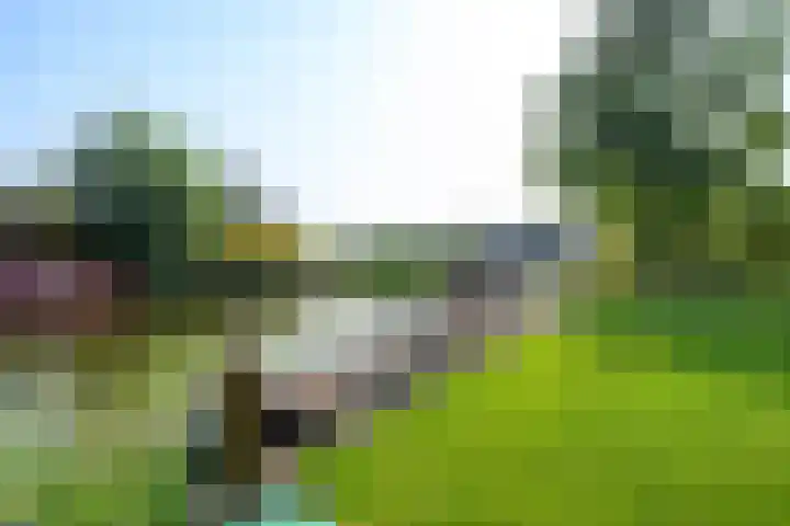 Droge Wijmersweg 5 229 Wervershoof thumbnail 38