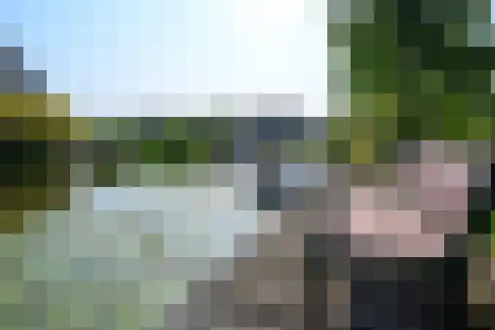 Droge Wijmersweg 5 229 Wervershoof thumbnail 39
