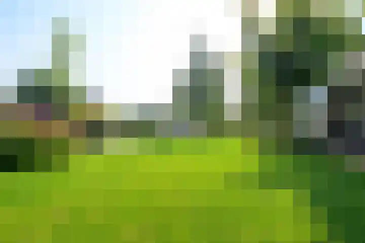 Droge Wijmersweg 5 229 Wervershoof thumbnail 42