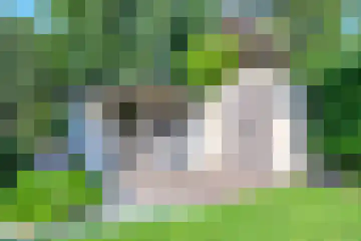 Droge Wijmersweg 5 229 Wervershoof thumbnail 44