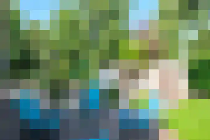Droge Wijmersweg 5 229 Wervershoof thumbnail 48