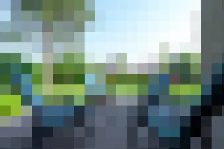 Droge Wijmersweg 5 229 Wervershoof thumbnail 49