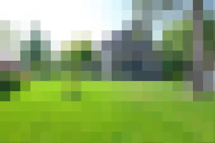 Droge Wijmersweg 5 229 Wervershoof thumbnail 5