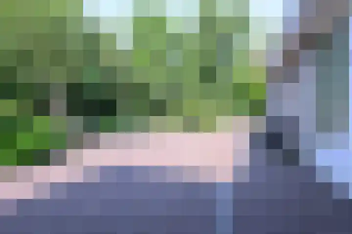 Droge Wijmersweg 5 229 Wervershoof thumbnail 50