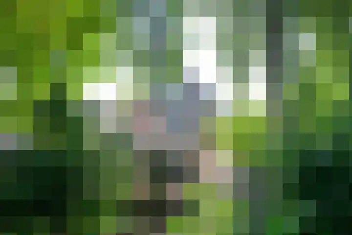Droge Wijmersweg 5 229 Wervershoof thumbnail 54