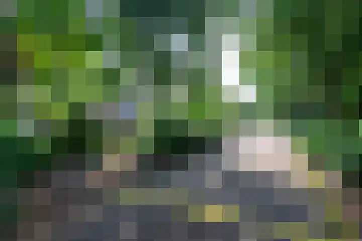 Droge Wijmersweg 5 229 Wervershoof thumbnail 55