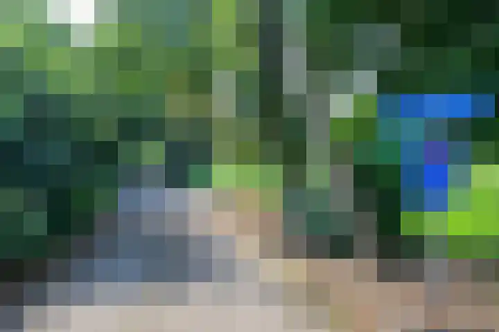 Droge Wijmersweg 5 229 Wervershoof thumbnail 56