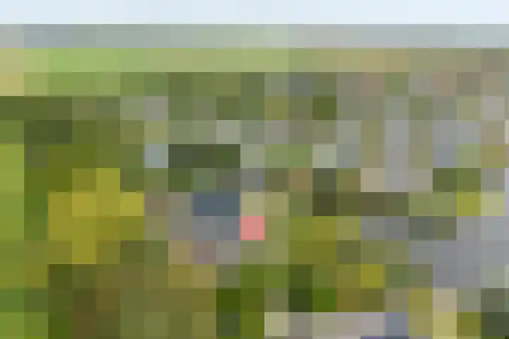 Droge Wijmersweg 5 229 Wervershoof thumbnail 57