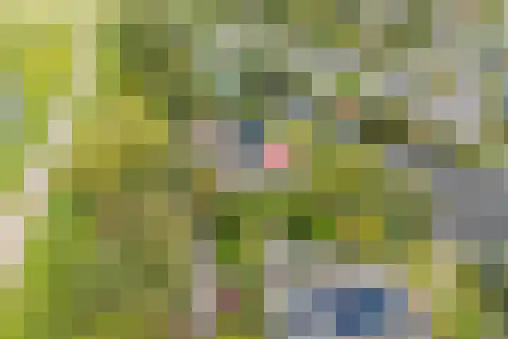 Droge Wijmersweg 5 229 Wervershoof thumbnail 58