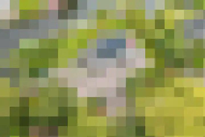 Droge Wijmersweg 5 229 Wervershoof thumbnail 59
