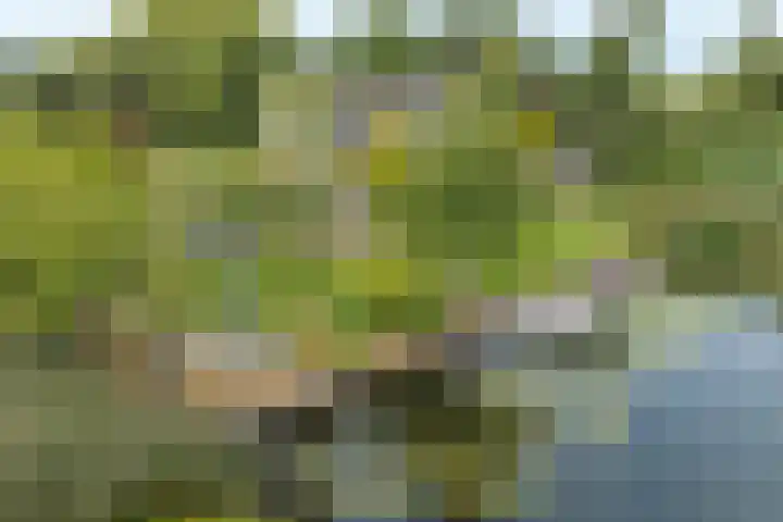 Droge Wijmersweg 5 229 Wervershoof thumbnail 60