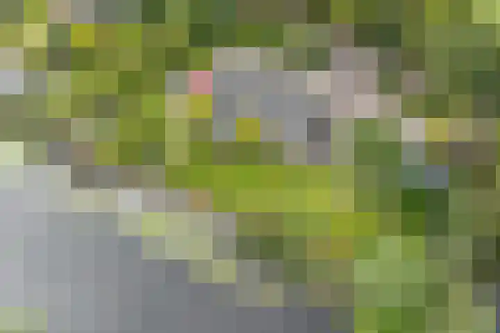 Droge Wijmersweg 5 229 Wervershoof thumbnail 61