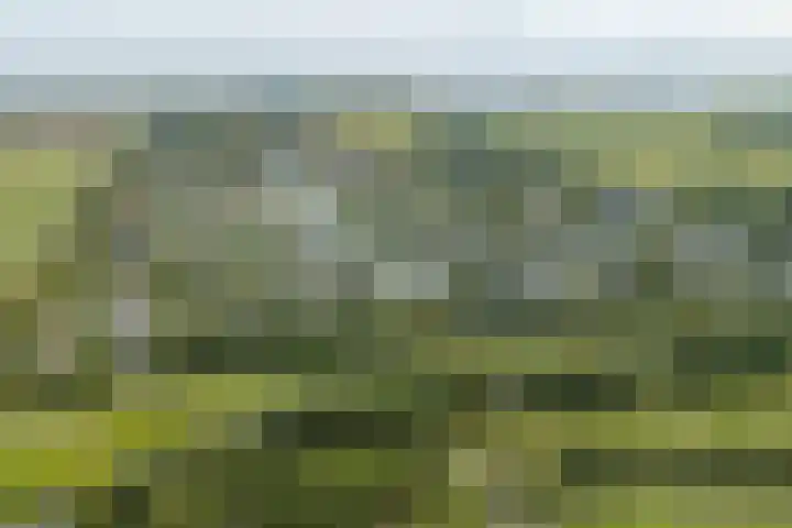 Droge Wijmersweg 5 229 Wervershoof thumbnail 62