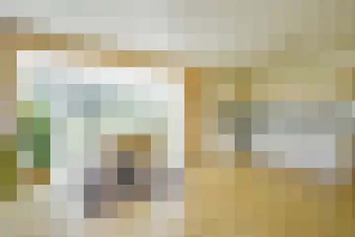 Droge Wijmersweg 5 236 Wervershoof thumbnail 13