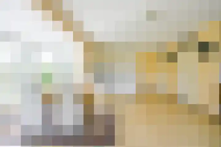 Droge Wijmersweg 5 236 Wervershoof thumbnail 15