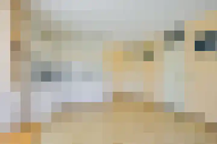 Droge Wijmersweg 5 236 Wervershoof thumbnail 16