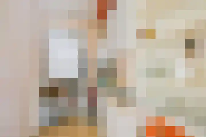 Droge Wijmersweg 5 236 Wervershoof thumbnail 17