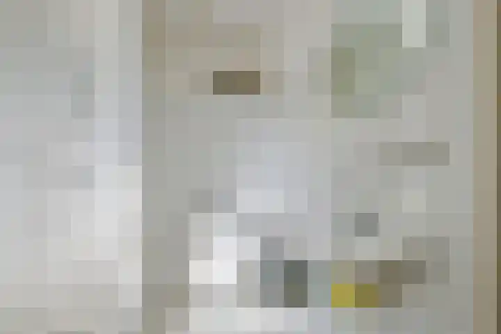 Droge Wijmersweg 5 236 Wervershoof thumbnail 20
