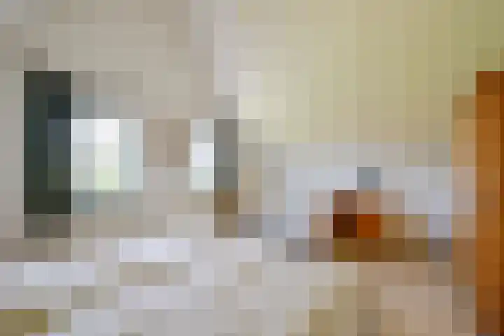 Droge Wijmersweg 5 236 Wervershoof thumbnail 27