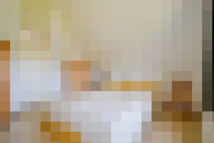 Droge Wijmersweg 5 236 Wervershoof thumbnail 28