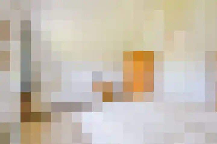 Droge Wijmersweg 5 236 Wervershoof thumbnail 29