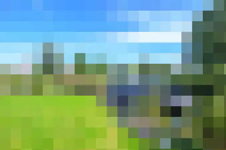 Droge Wijmersweg 5 236 Wervershoof thumbnail 33