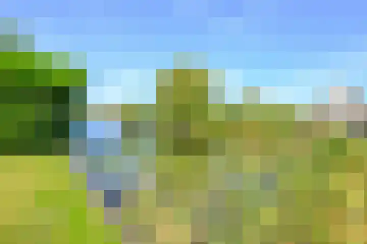 Droge Wijmersweg 5 236 Wervershoof thumbnail 34