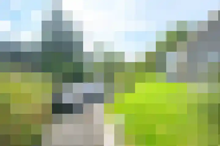 Droge Wijmersweg 5 236 Wervershoof thumbnail 36