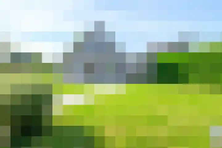 Droge Wijmersweg 5 236 Wervershoof thumbnail 4