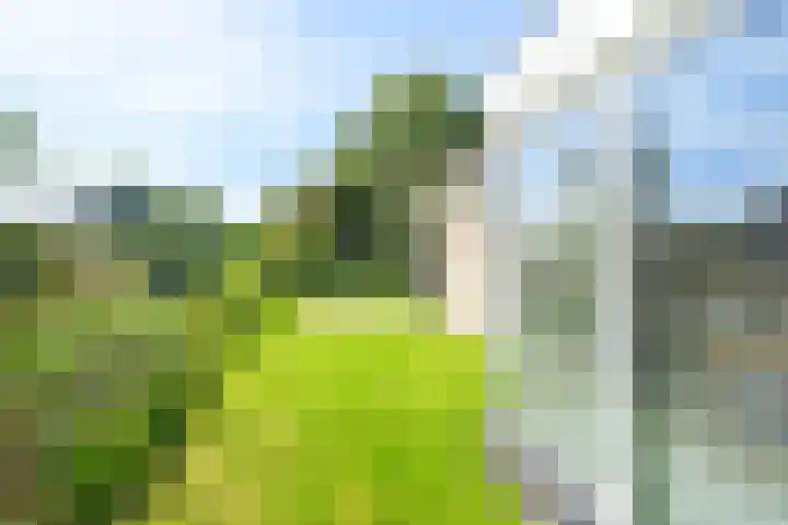 Droge Wijmersweg 5 236 Wervershoof thumbnail 42