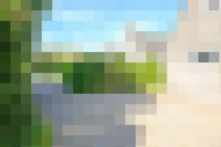 Droge Wijmersweg 5 236 Wervershoof thumbnail 43