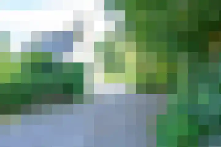 Droge Wijmersweg 5 236 Wervershoof thumbnail 44