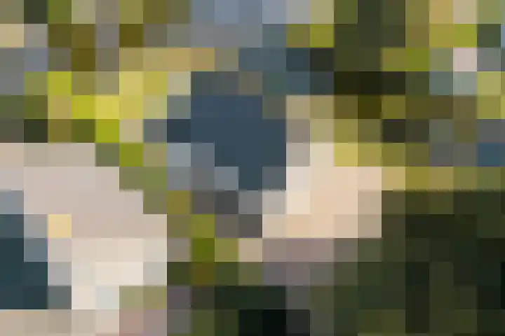 Droge Wijmersweg 5 236 Wervershoof thumbnail 45