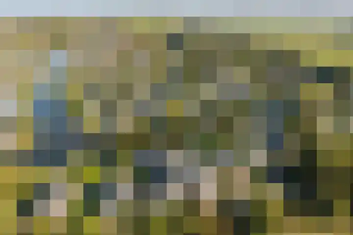Droge Wijmersweg 5 236 Wervershoof thumbnail 46