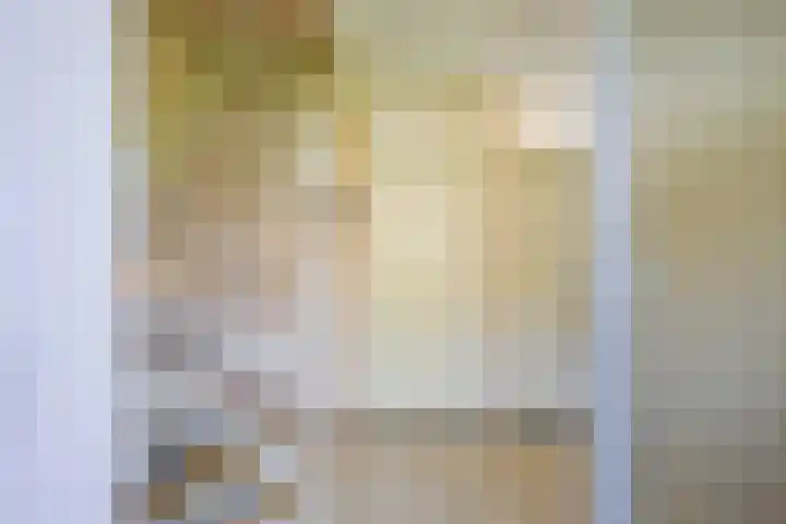 Droge Wijmersweg 5 236 Wervershoof thumbnail 7
