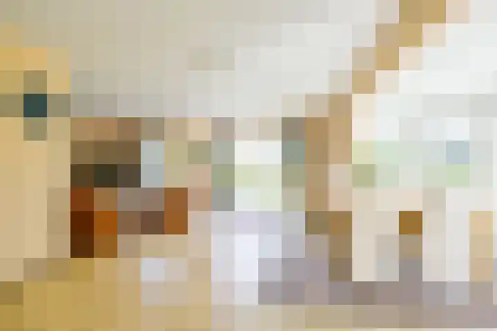 Droge Wijmersweg 5 236 Wervershoof thumbnail 9