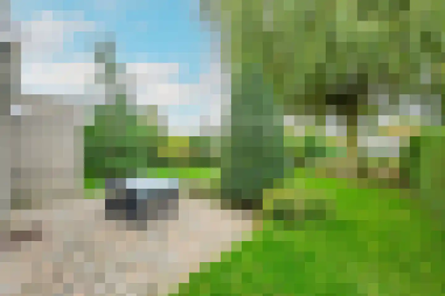 Droge Wijmersweg 5 245 Wervershoof thumbnail 4
