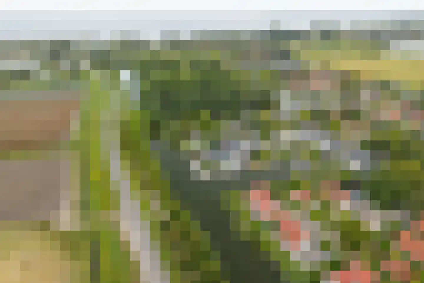 Droge Wijmersweg 5 245 Wervershoof thumbnail 40