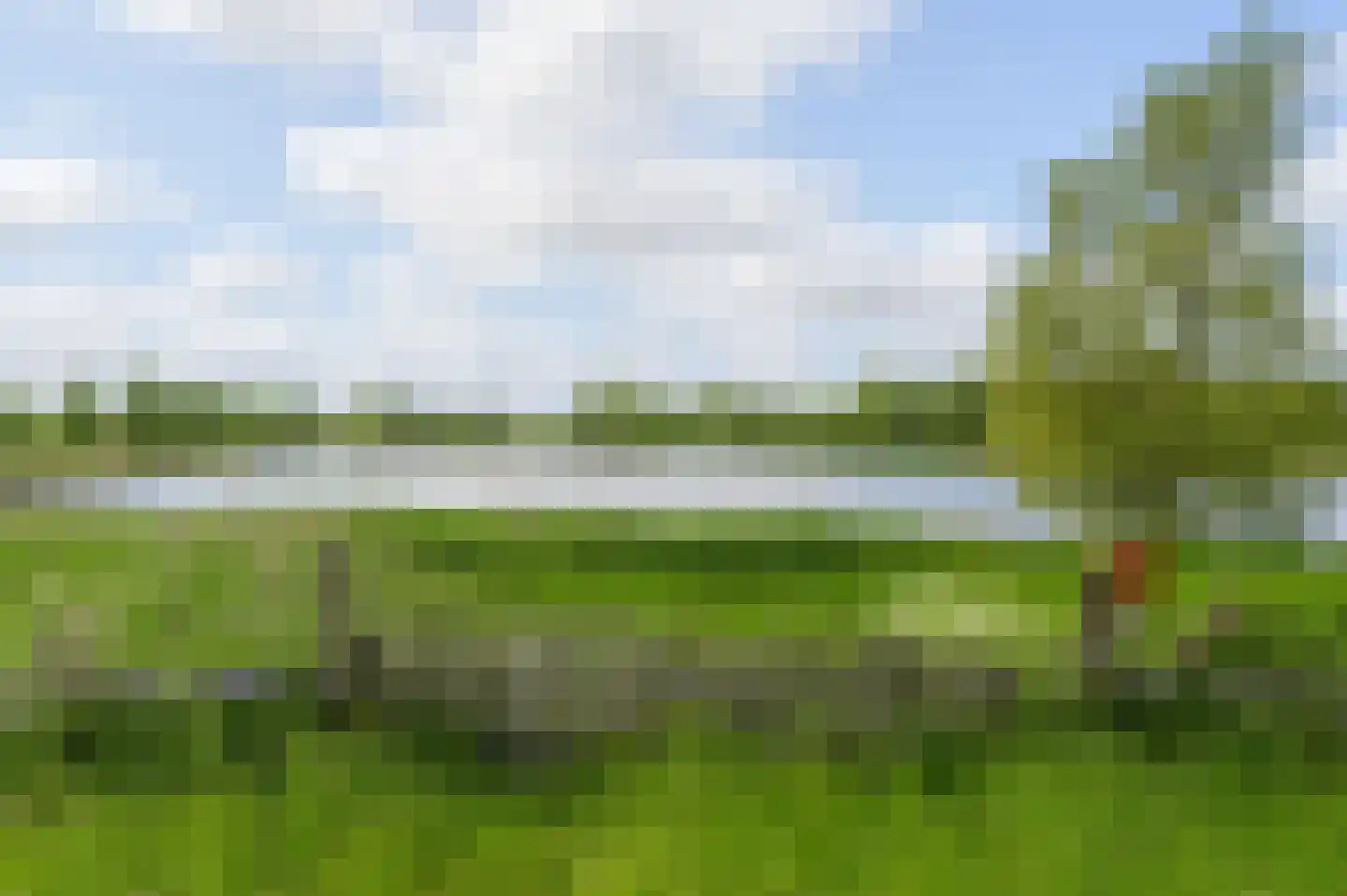 Droge Wijmersweg 5 245 Wervershoof thumbnail 5