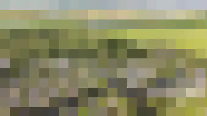 Droge Wijmersweg 5 250 Wervershoof thumbnail 10