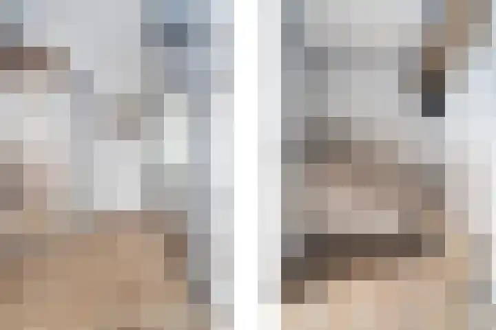 Droge Wijmersweg 5 250 Wervershoof thumbnail 14