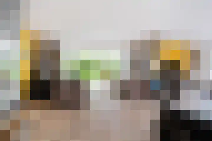 Droge Wijmersweg 5 250 Wervershoof thumbnail 18