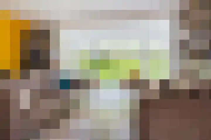 Droge Wijmersweg 5 250 Wervershoof thumbnail 21
