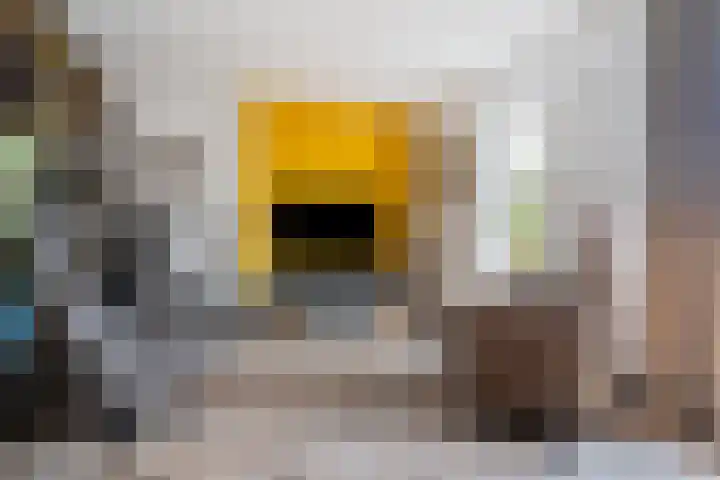 Droge Wijmersweg 5 250 Wervershoof thumbnail 25