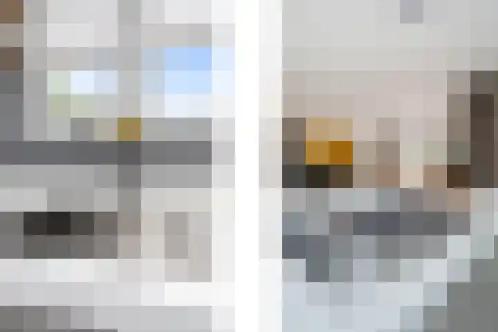 Droge Wijmersweg 5 250 Wervershoof thumbnail 31