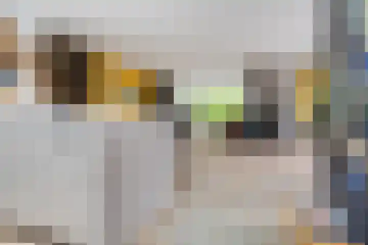 Droge Wijmersweg 5 250 Wervershoof thumbnail 32