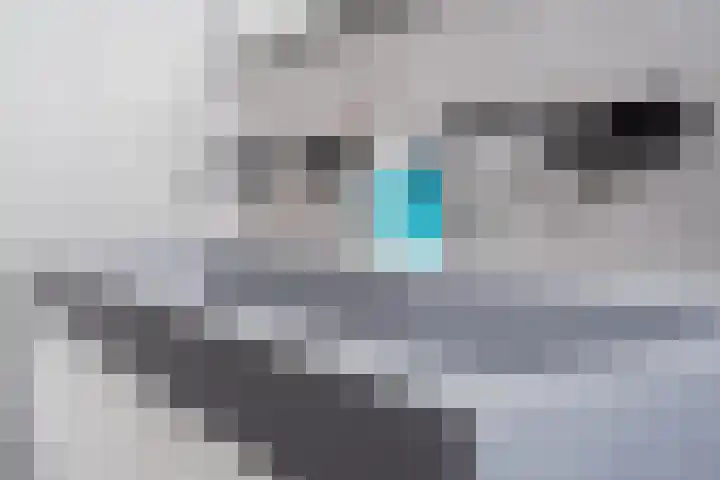 Droge Wijmersweg 5 250 Wervershoof thumbnail 37