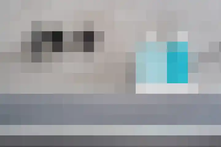 Droge Wijmersweg 5 250 Wervershoof thumbnail 38