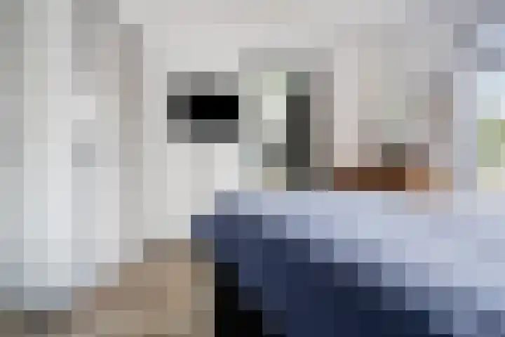 Droge Wijmersweg 5 250 Wervershoof thumbnail 43